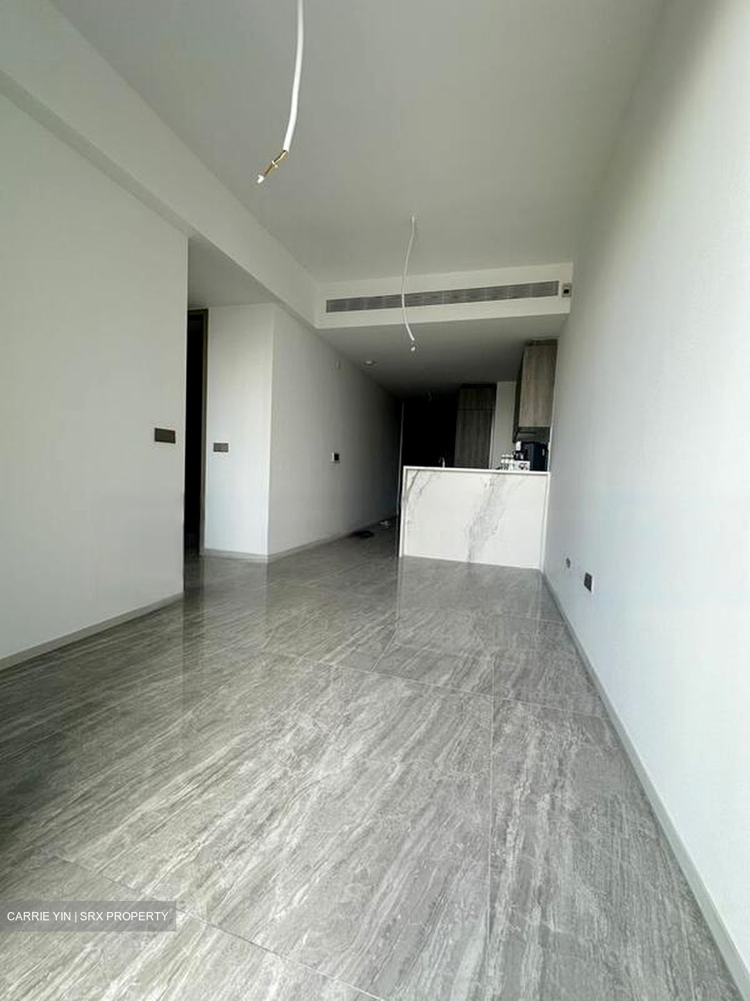 Leedon Green (D10), Condominium #593646711